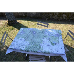 Nappe enduite Forêt de Fontainebleau (150x110)