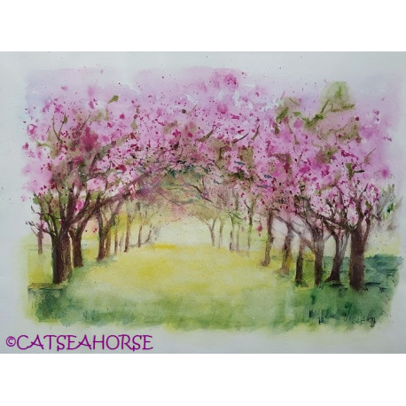 Aquarelle "Sous les cerisiers roses" Aquarelle "Sous les cerisiers roses"