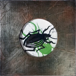 Gravure de la série Insecte encadrée carton N°19. Pièce unique.