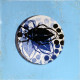 Gravure de la série Insecte encadrée carton N°13. Pièce unique.