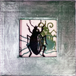 Gravure de la série Insecte encadrée carton N°7. Pièce unique.
