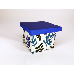 Mini-box blue