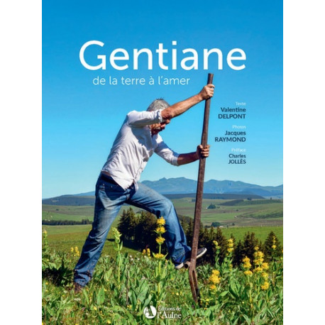 Gentiane de la terre à l'amer Gentiane de la terre à l'amer