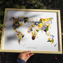 Reproduction herbier map monde A3