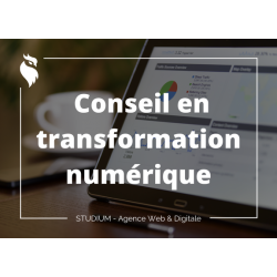 Conseil en transformation numérique