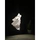 Cadre lumineux Loup