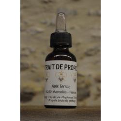 Extrait de propolis