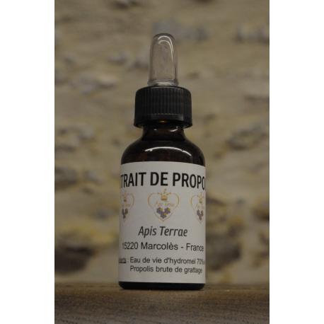 Extrait de propolis Extrait de propolis