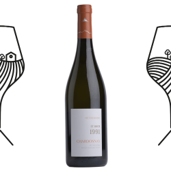 Saint Roch 1991 - Vin blanc IGP (6 bouteilles de 75cl)
