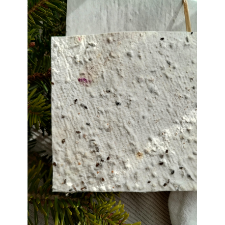 Carte de voeux à planter - paillettes pétales