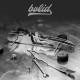 Bolid