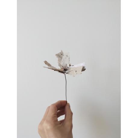 Fleur en papier ensemencé