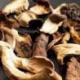 Bolets et cèpes des bois séchés - Gamme classique