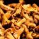 Les Petites Girolles - Gamme Prestige