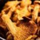 Girolles des bois - Conserve 455 g