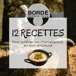 Livret recettes pour cuisiner vos champignons