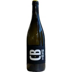 Domaine JCVA - IGP - Comté Tolosan - Cantal Blues - blanc 2022