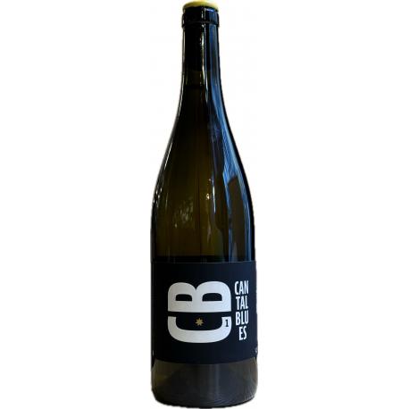 Domaine JCVA - IGP - Comté Tolosan - Cantal Blues - blanc 2022