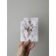 Carte postale perroquet