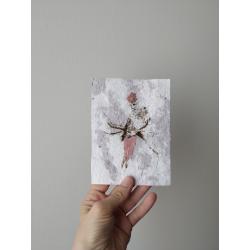 Carte postale perroquet