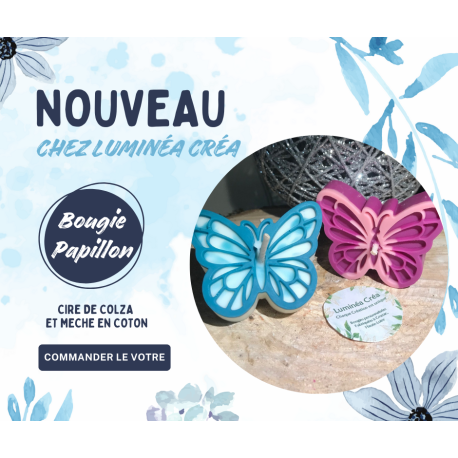 Papillon Papillon