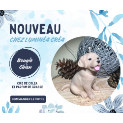Chien