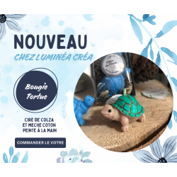 Bougie Tortue