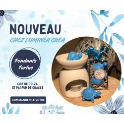 fondants tortues