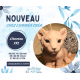 Bougie Animaux XXL