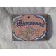 Bienvenue decor de jasmin sur fond saumon