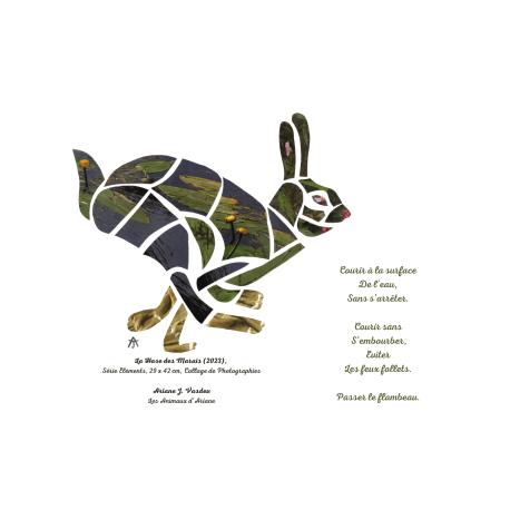 Trio d'Affichettes A5 : Animaux des Saisons Trio d'Affichettes A5 : Animaux des Saisons