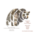 Trio d'Affichettes A5 : Animaux des Saisons