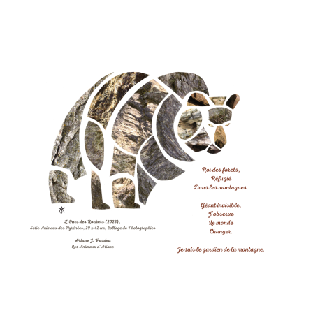 Trio d'Affichettes A5 : Animaux des Saisons Trio d'Affichettes A5 : Animaux des Saisons