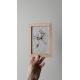 Carte postale perroquet