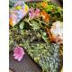 Cuisine des plantes sauvages comestibles