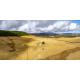 Photographie Panoramique  près de Compains-Malsagne, Puy-de-Dôme
