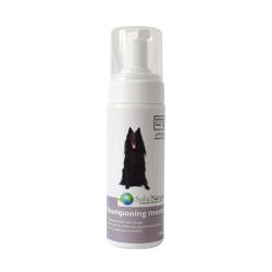 Shampooing mousse sans rinçage pour chien