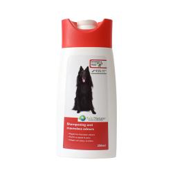 Shampooing anti mauvaises odeurs pour chien