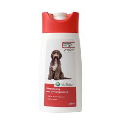Shampooing anti démangeaisons pour chien
