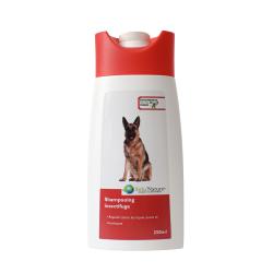 Shampooing insectifuge pour chien