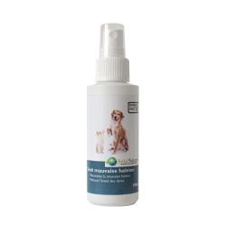Spray anti-mauvaise haleine chien / chat