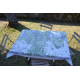 Nappe enduite Forêt de Fontainebleau (150x110)