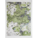 Nappe enduite Forêt de Fontainebleau (150x110)