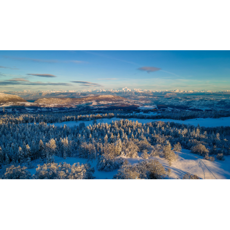 Reportage photos