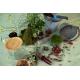 Atelier Terrarium