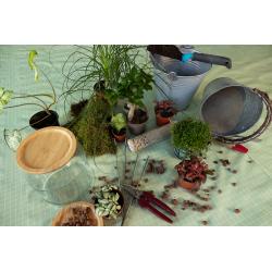 Atelier Terrarium