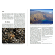 kīpuka 10 - revue de vulgarisation scientifique consacrée aux volcans