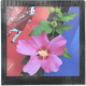 Grand magnet photo Hibiscus et affiches