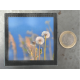 Grand magnet photo Pissenlits