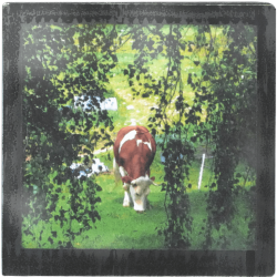 Grand magnet d'artiste photo Vache et saule, pièce unique